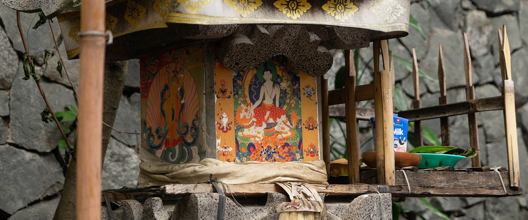 Puja Naga
